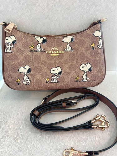Coach peanuts teri - x,